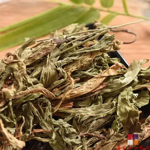 女性排毒养颜胶囊可以祛痘吗